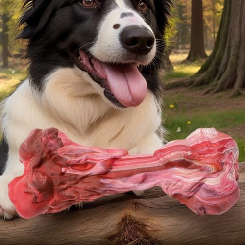 Jeu en caoutchouc pour chien pour stimuler l'entraînement intérieur les jours de pluie - 4