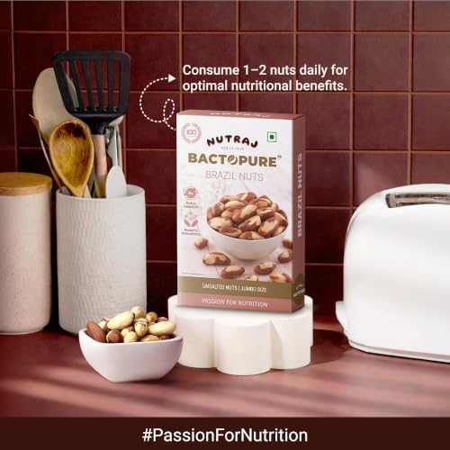 Image of Nutraj Brazil Nuts Roasted 100g Pouch | No Added Preservatives | Handpicked & Exotic | Raw & Unsalted Natural Whole