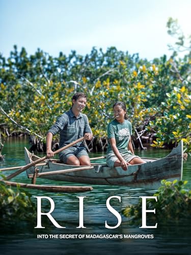 RISE