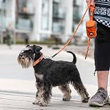 DOG Copenhagen Urban Rope 3.0 Leine, Classic Red, S