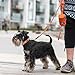 DOG Copenhagen Urban Rope 3.0 Leine, Classic Red, S