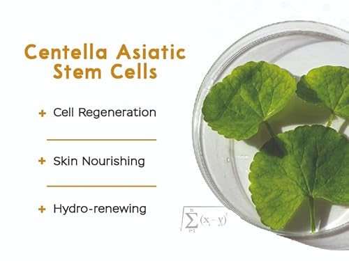 Vitasei Beauty Boost Facial Serum, Anti Aging Cellular Hydro-Renewing Night Serum W/Cotton Stem Cells & Collagen For Women & Men, Hydrating Face Oil Moisturizer For Fine Lines & Wrinkles, 30 Ml #TOP1