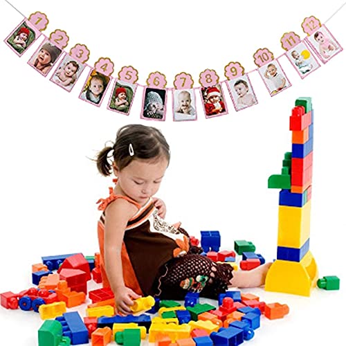 Image of Rozi Decoration 1 to 12 Months Baby Banner with Front Side Photo Space & Sweet Memory Photo Props, Milestone Banner for 1st Birthday (Pink)