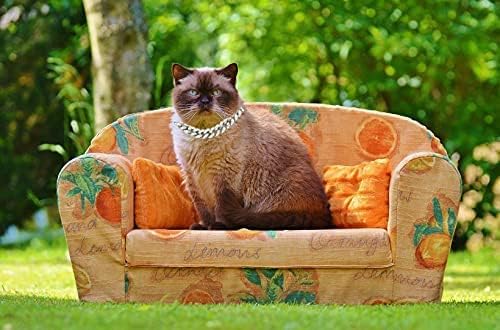 Miniatura 5 de Halukakah Collar de gato  quilates  Cadena de oro con eslabones cubanos de diamantes para gatos y gatitos  chapado en platino de 9 pulgadas tamaño