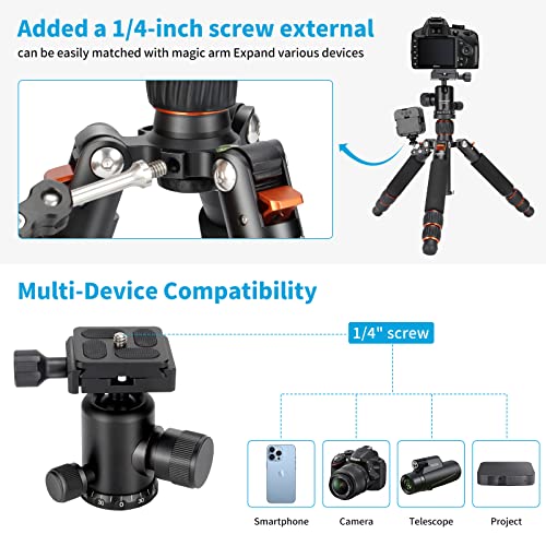 Koolehaoda Nouveau Design Travel Portable H-55 Mini trépied Compact Mini Macro Desktop Trépied avec Tête de Boule pour Appareil Photo Reflex numérique Canon Nikon (H-55) - Image 7