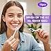 KUGUAN Mini Brushes-Disposable Toothbrushes 5 in 1 with Toothpaste + Floss + Pick + Tongue Scraper Travel Size Toothbrushes Portable for Work Travel 16pcs (Mint)