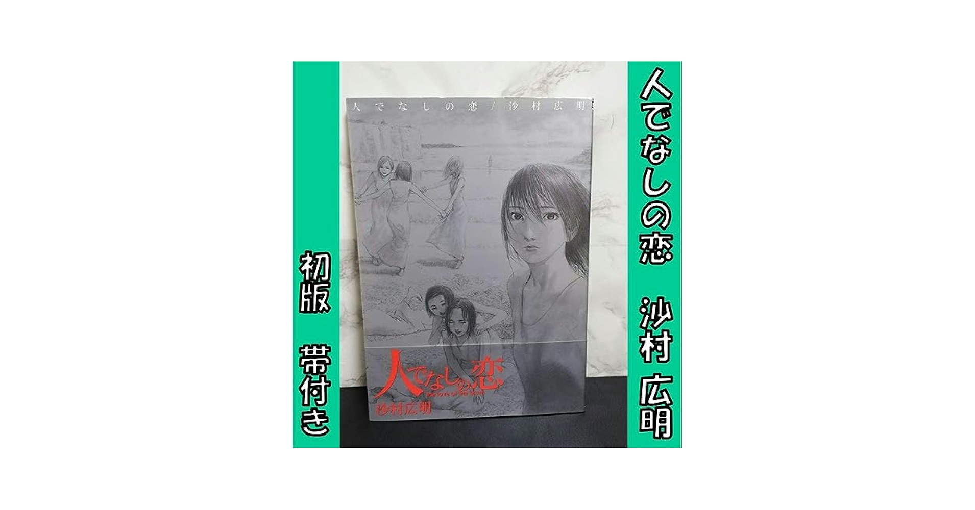 人でなしの恋　沙村広明 人でなしの恋沙村広明(いずみコミックス)高清画集百度网盘下载