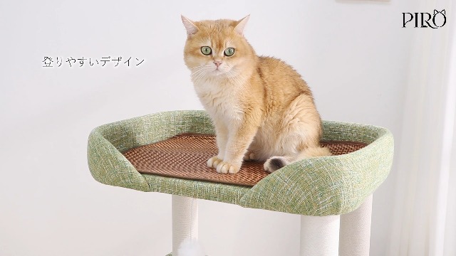 Amazon | LULUCAT キャットタワー クッション入りベッド☆巨大土台