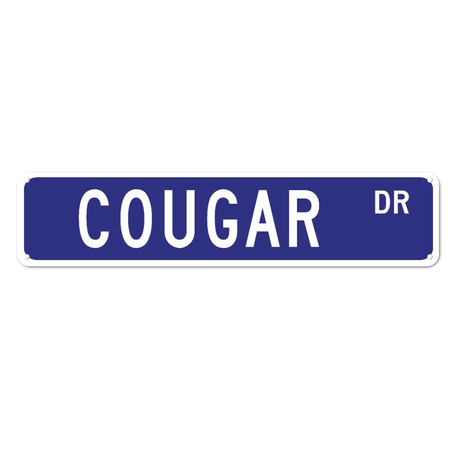 DTHNKL Metal Sign Cougar Rd Vintage Retro Tin Art Plaque Aluminum for Home Kitchen Garden Wall Yard Coffee Decor 4x16 Inch