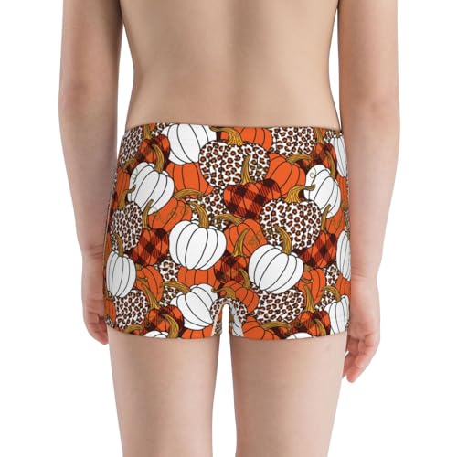 Boys' Cotton Boxer Brief Soft Underwear-Various Pumpkins3