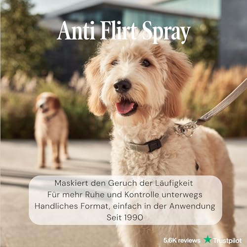 Sensipharm Anti Flirt Spray für Hunde – maskiert Läufigkeitsgeruch bei Hündinnen, reduziert unerwünschte Aufmerksamkeit von Rüden – natürliche Duftformel, 100 ml