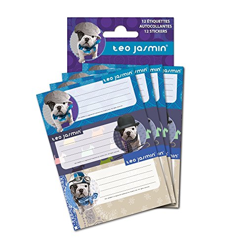 12 Etiquettes scolaires TEO JASMIN