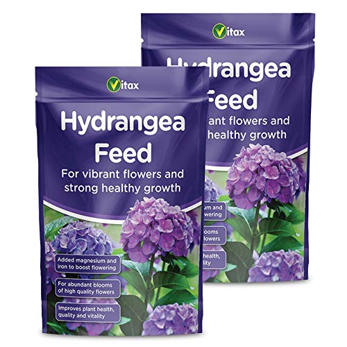 Tigerbox Vitax Hydrangea Feed 2KG (2 x 1kg Bags)