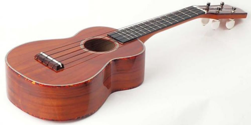 Amazon.co.jp: AlaMoana アラモアナ コアウクレレ UK-2800 (ハード 