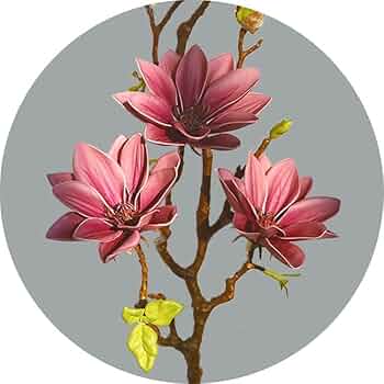 専用　モクレンアレンジ　クレイフラワー 専用 モクレンアレンジ クレイフラワー モクレンのアーティ