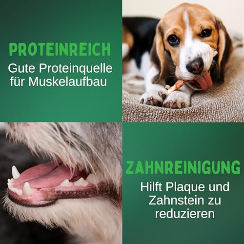 BREERs Rinderlunge für Hunde getrocknet 1 Kg aus eigener Deutscher Herstellung, Kauartikel für Groß & Klein, Lunge Hundesnack in ausgezeichneter Qualität