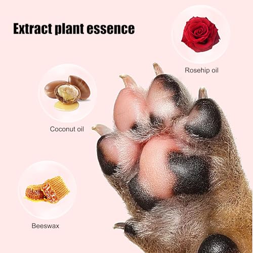 Doiyislem Balsam Für Hundepfoten,20ml Pflege Für Trockene Katzenkrallen - Kätzchenpfotenbalsam,Für Tierliebhaber Winter Sommer Outdoor Abenteuer Heißer Asphalt Kaltes Wetter Wandern Zuhause
