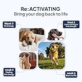 Daddy Paw Joint Supplements for Dogs Max Strength Glucosamine & Chondroitin with Green Lipped Mussel for Dogs & MSM For Severe Joint Stiffness, Mobility & Dog Pain Relief Anti Inflammatory - Image 2