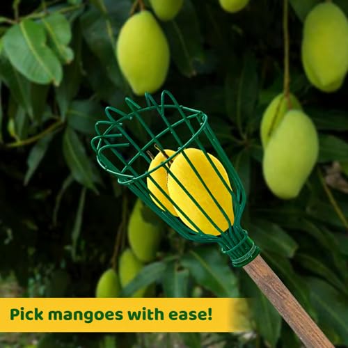 Image of Urban Plant Mango Plucker | Metal Fruit Picker Head | Green | Without Sponge | Attaches to Any 1-Inch Pole | Rust-Proof Powder-Coated Iron (Pole Not Included)