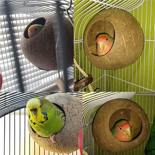 Image of OMEM Bird Coconut House,Hamster House,Coconut Shells can Fixed in Bamboo, Birdcages, Hamster Cages (M)