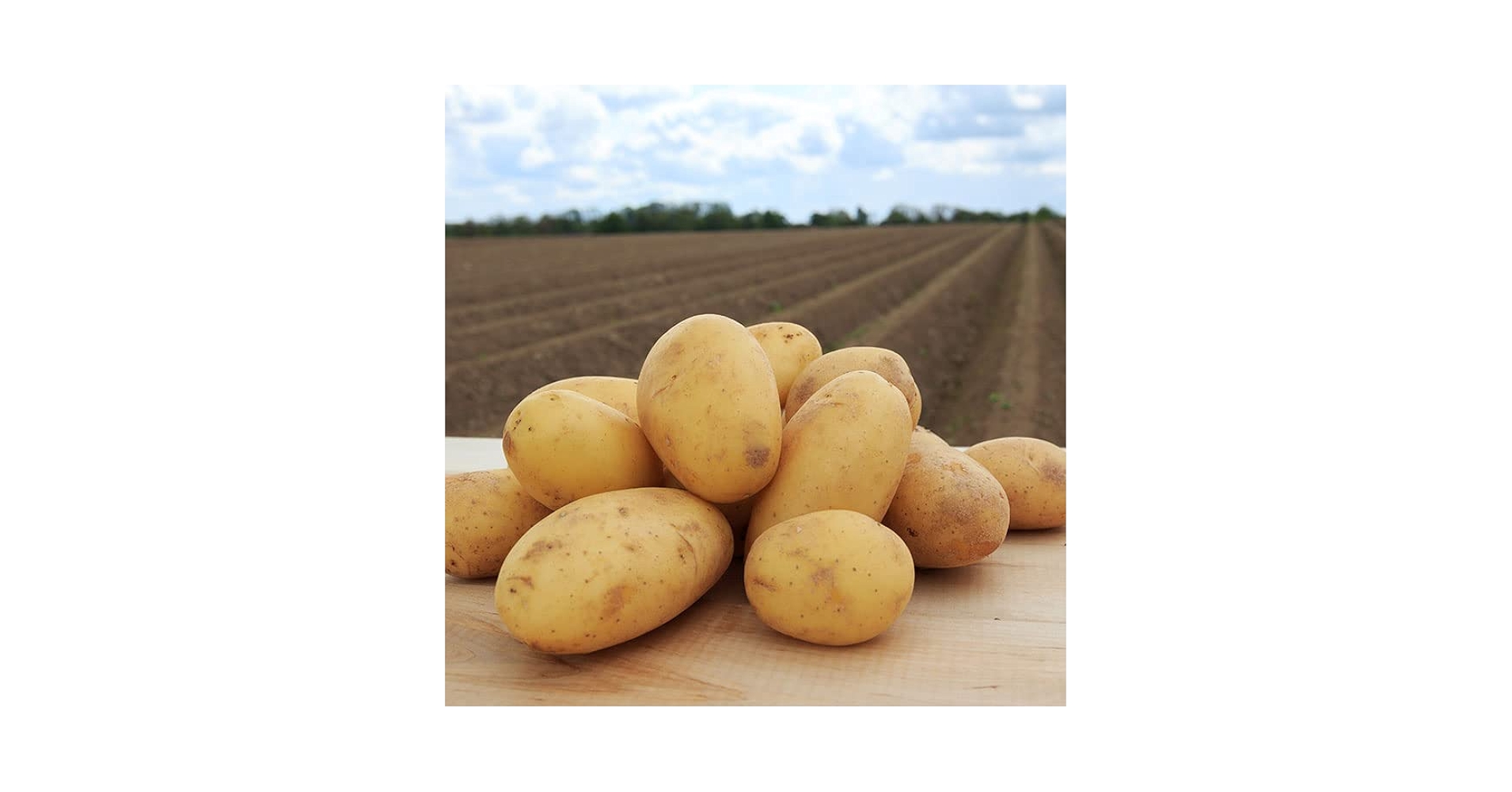 Amazon.co.jp: じゃがいも 北海道産 メークイン 20kg : 食品