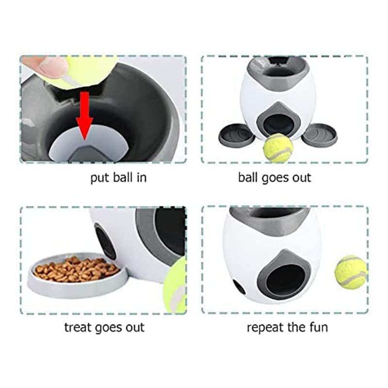 Machine de récompense alimentaire pour chien et chiot actif