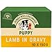 Price comparison product image James Wellbeloved Puppy Lamb in Gravy 10 Pouches, Hypoallergenic Wet Dog Food, Pack of 1 (10 x 150 g)