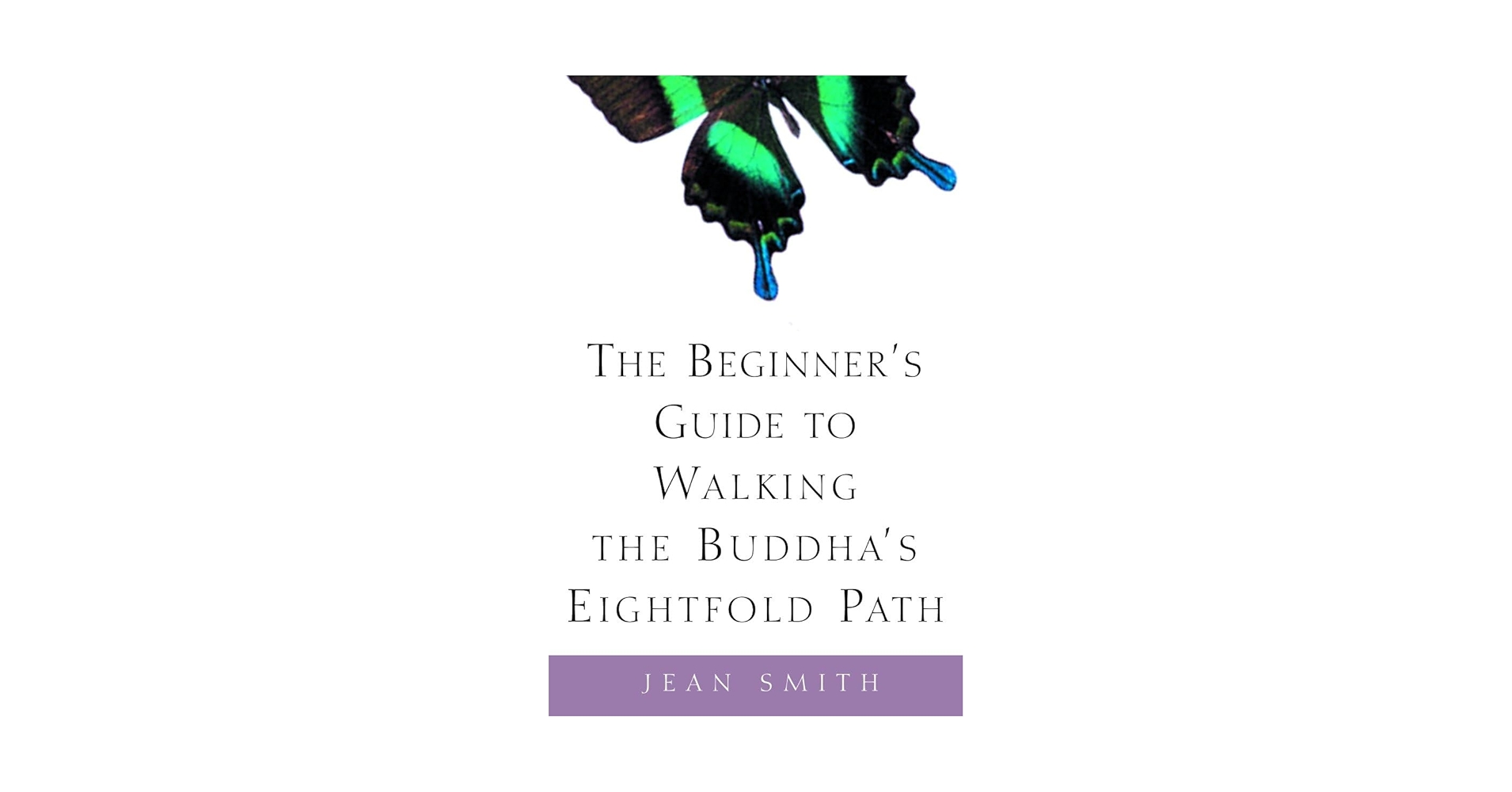 Amazon.com: The Beginner's Guide to Walking the Buddha's