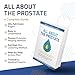 Ben's Natural Health All About the Prostate Book Guide to Lowering PSA Naturally and Reversing BPH, Updated & Expanded 11th Edition