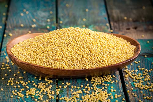 100% Organic Hulled Millet, Product Of The Usa, Whole Grain Seeds, Non-Gmo, Kosher, Gluten-Free, Bulk (10 Lbs) #TOP3