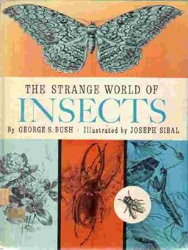Hardcover The strange world of insects, Book