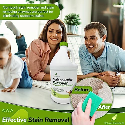 Natural Elements Stain And Odor Remover | Carpet Stain Remover | Pet Urine And Feces Odor Eliminator | Non-Toxic | Enzyme Charged Formula | Unscented, Non-Masking (1 Gallon) #TOP3