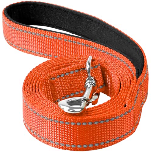 Erbine Reflective Dog Leash 6ft Soft Padded Handle Nylon Lead for Small & Medium Dogs, Durable...