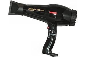 Twin Turbo 3900 Hair Dryer