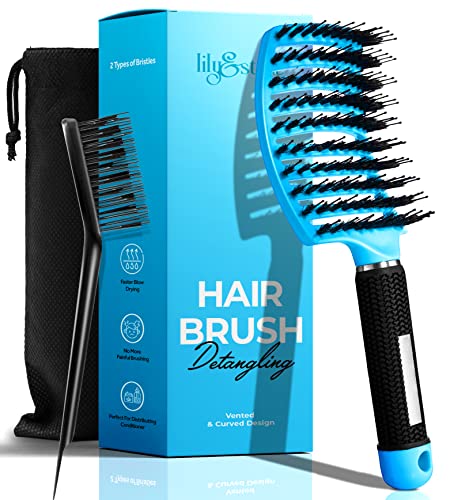 Hair Detangler Brush - Wet or Dry Detangling Brushes for Women, Men, and Children with All-Natural Boar & Nylon Bristles - Easily Detangles Long, Thick, Curly, or Coarse Hair without Pain or Tears…