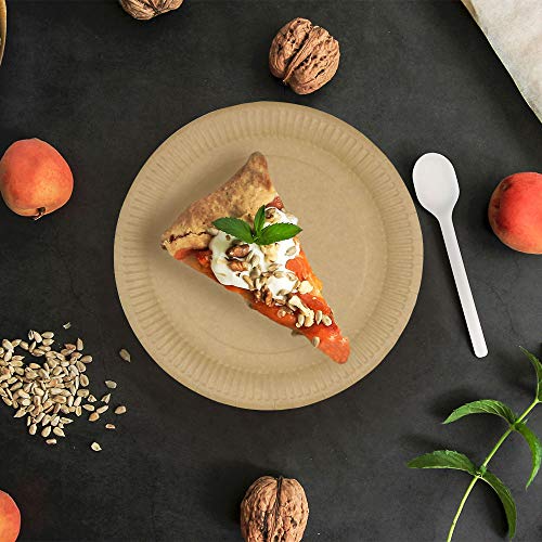 BIOZOYG Piatti di Carta Marrone Rotondi 23 cm Ø - Usa e Getta Robusti, Stoviglie Riciclabili Ecologici Biodegradabili - 100 Pezzi - immagine 6