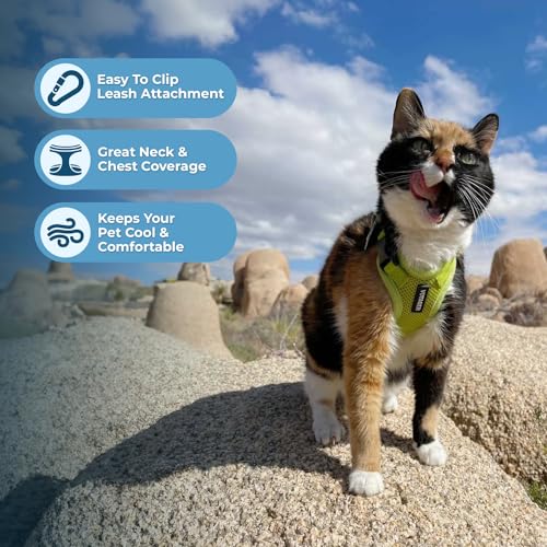 Image of Voyager Escape-Proof Step-in Lock Cat Harness & 5ft Neoprene-Handle Leash Set All-Weather Mesh with Reflective Stitching for Small to Large Cats by Best Pet Supplies, Lime Green, S