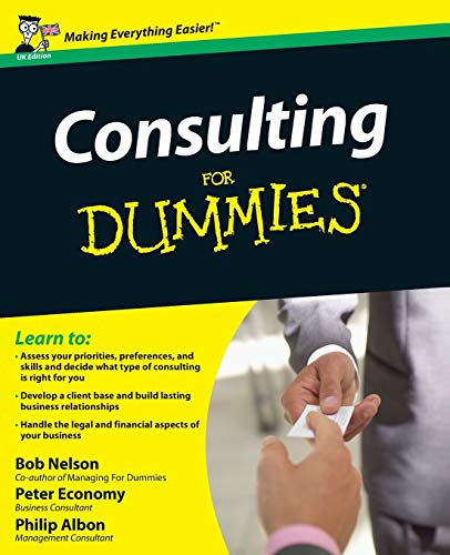 Consulting For Dummies view 2