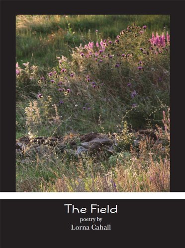 The Field - Kindle edition by Cahall, Lorna. Religion & Spirituality ...