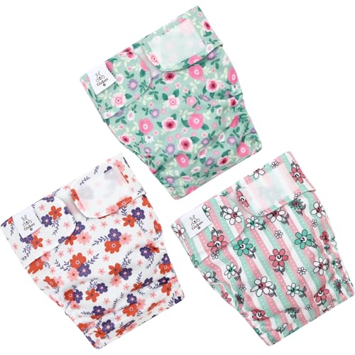 Image of CuteBone Washable Dog Diapers Female No Tail Hole 3 Pack Reusable Doggie Period Training Pants for Docked-Tail Frenchie French Bulldog Boston Terrier Without Tail WWD35L