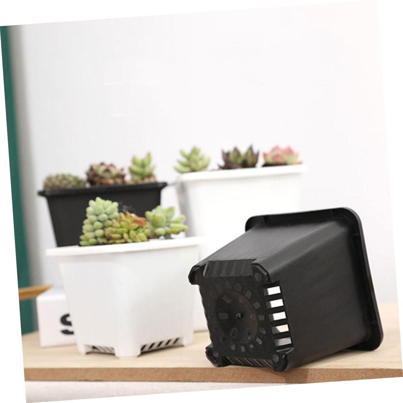 Kisangel 60 Pièces Pot De Semis Jardinière De Départ Pots De Plantes s De Plantation Polyvalents ES pour L' Jardinière Succulente De Fleur Mini PP