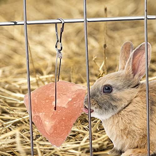 PINVNBY Salt Blocks for Rabbits,4 Pieces Himalayan Small Pets Lick Salt Block Natural Mineral Salts with Hook Hanging Small Animals Chew Toys for Horses Bunny - Image 4