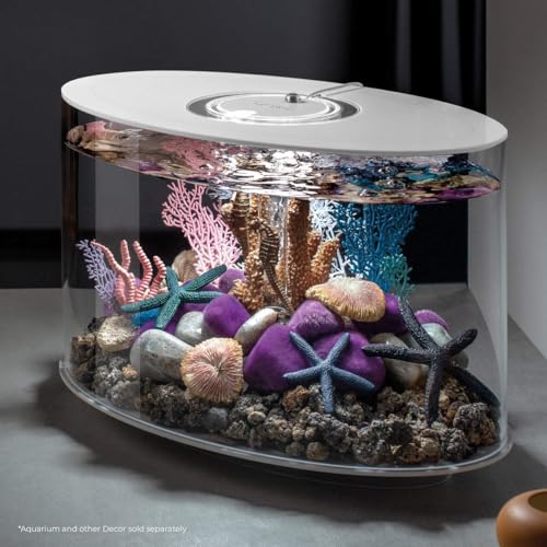 Image of BiOrb 46143.0 Starfish Set 3 Blue Aquariums