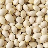 銀杏 2Lサイズ大玉 季節限定 - 令和7年産 大分県 国産 この時期限定の季節の味!もちもち食感でたまらない♪ (1kg)