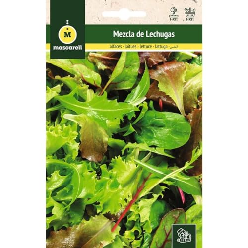 Mascarell Semillas, LECHUGA, Semillas Huerto, MEZCLA DE LECHUGAS, Crea tu Propio Huerto Urbano y Cultivo en Casa, Plantas Hortícolas, 4 Gramos
