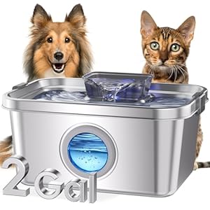 PETIMI Wasserbrunnen für Hunde