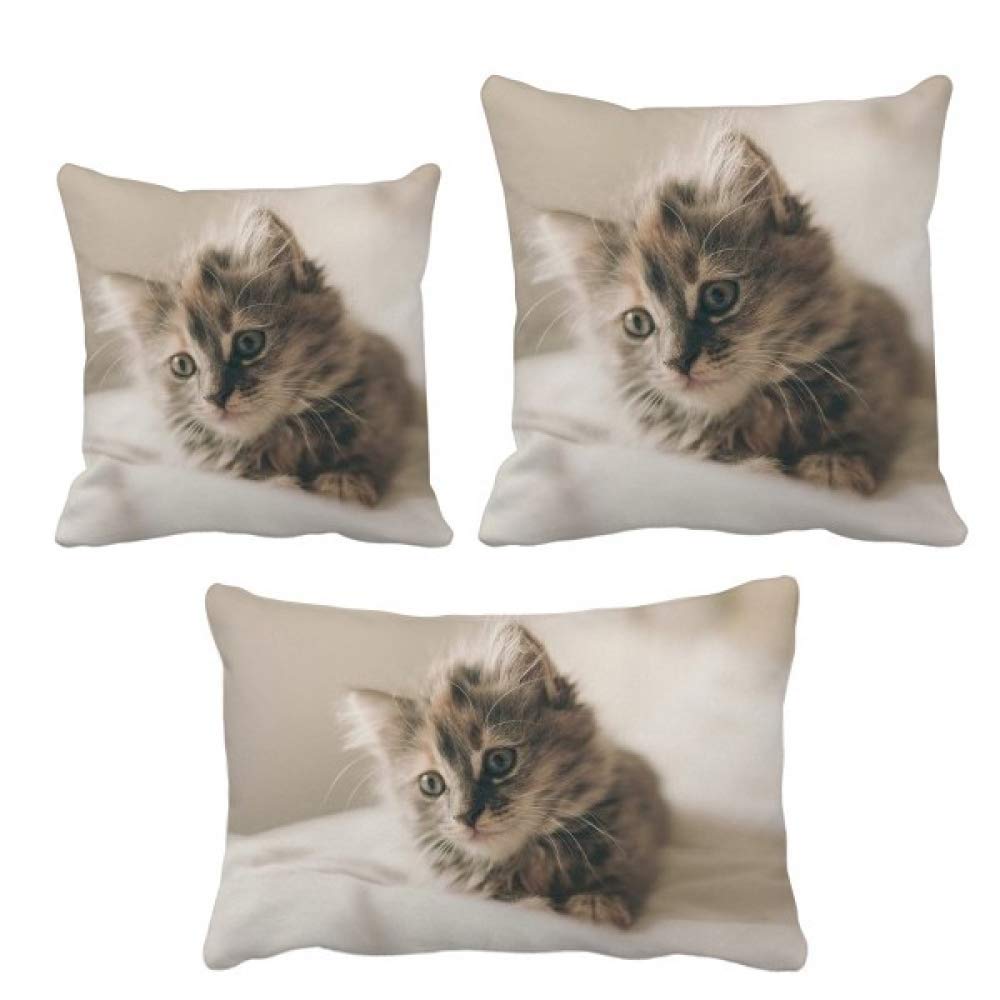 Housse de coussin chat gris taie oreiller deco salon chambre