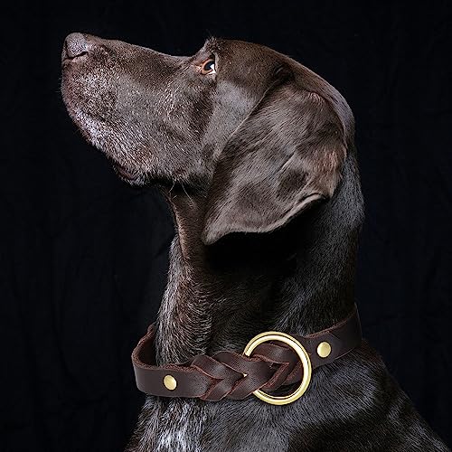 Pet Artist Braided Leather Dog Collar For Small Medium Dog, Soft Lightweight Full Grain Genuine Leather Dog Collar With Metal Buckle, Black M: Neck Size For 12-16 Inches #TOP6