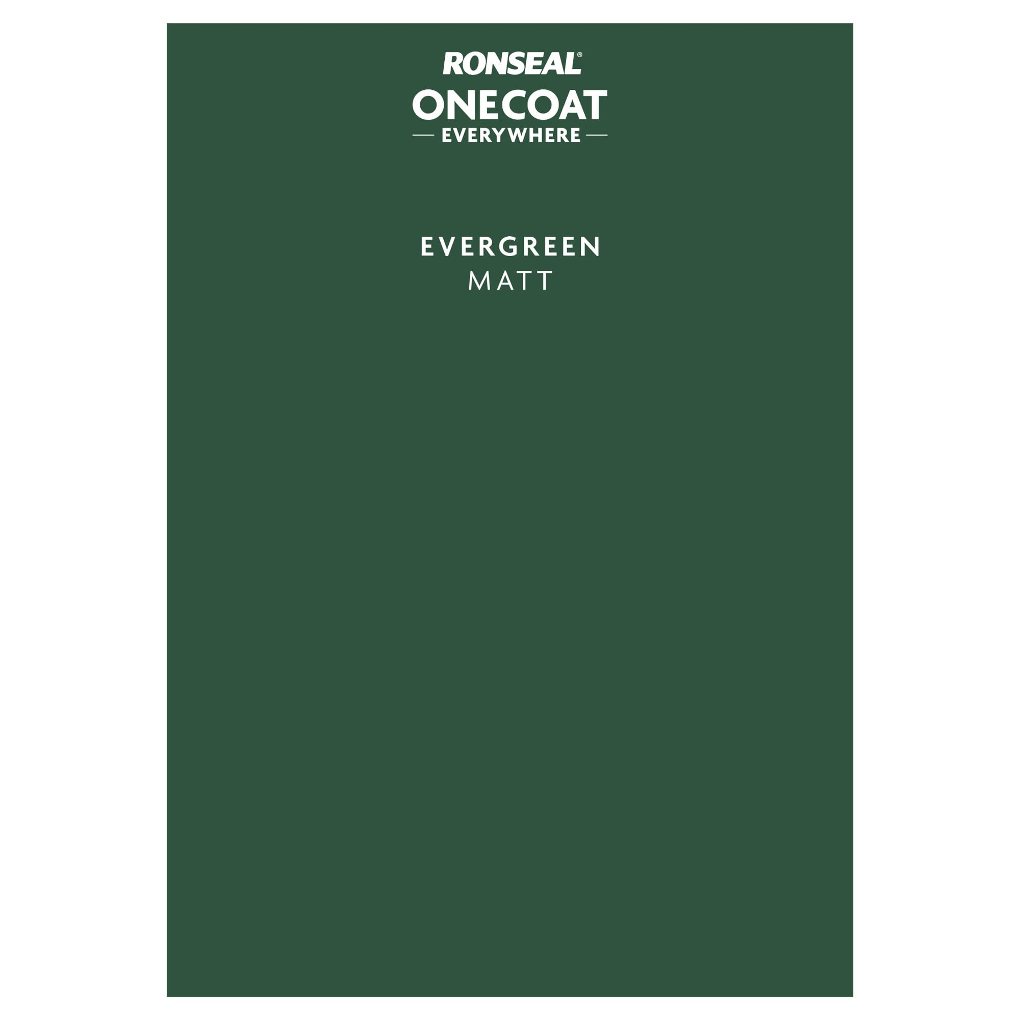 Ronseal Peel & Stick One Coat Everywhere Evergreen