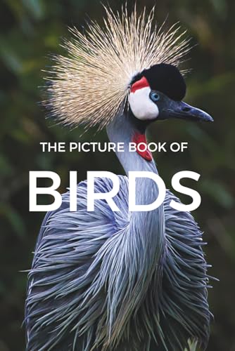 The Picture Book of Birds: Gift Book for Alzheimer's Patients and Seniors with Dementia (Picture Books) - Large Print with Many Bird Breed Pictures ... and Seniors with Dementia - Picture Books)